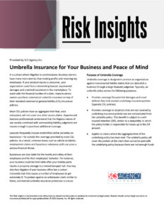 Umbrella Insurance for Your Business and Peace of Mind